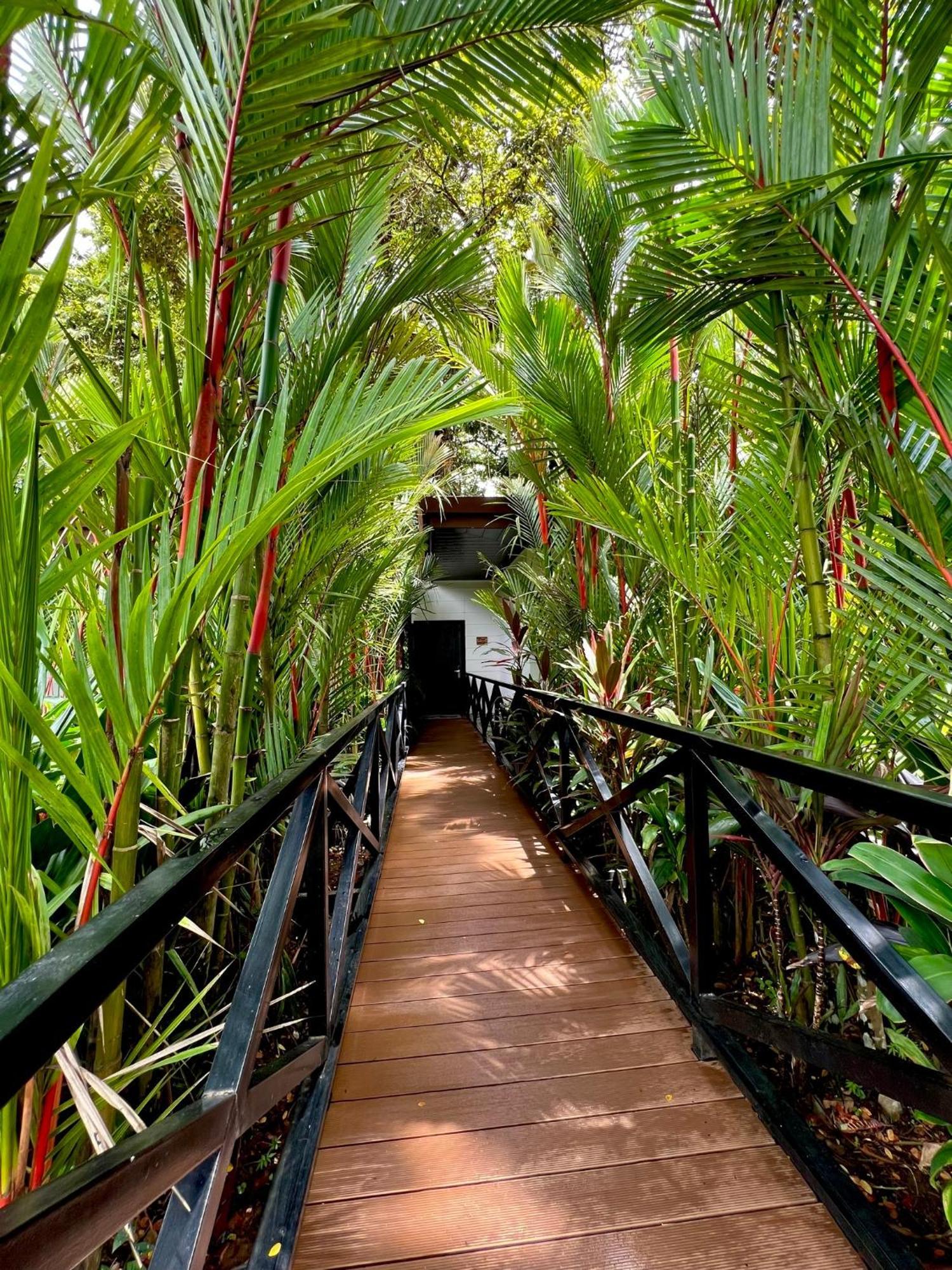 Hotel Boutique Casa Del Rio La Fortuna Εξωτερικό φωτογραφία
