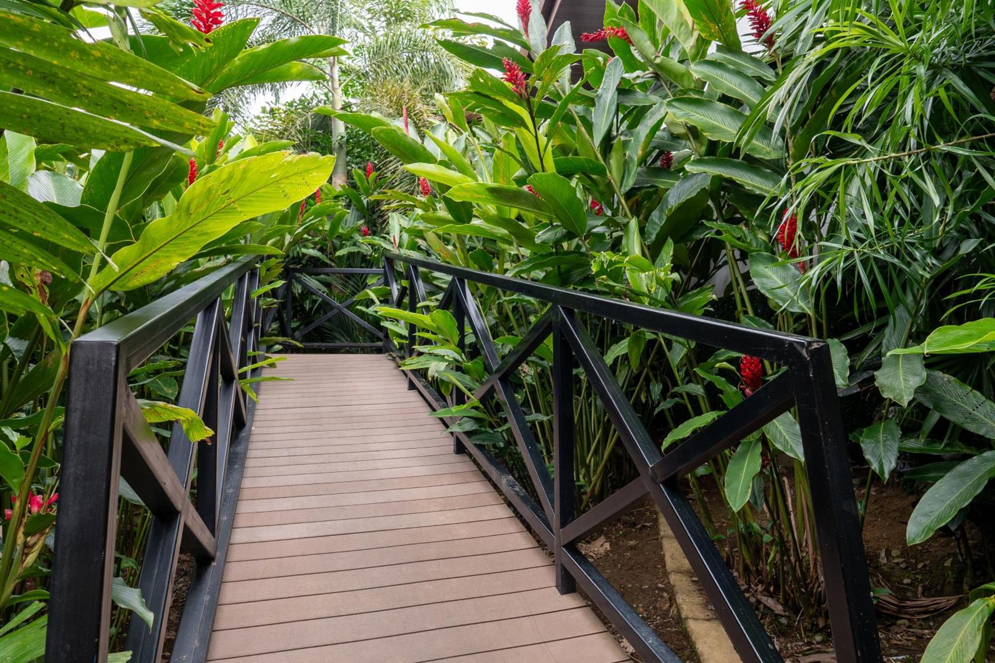 Hotel Boutique Casa Del Rio La Fortuna Εξωτερικό φωτογραφία